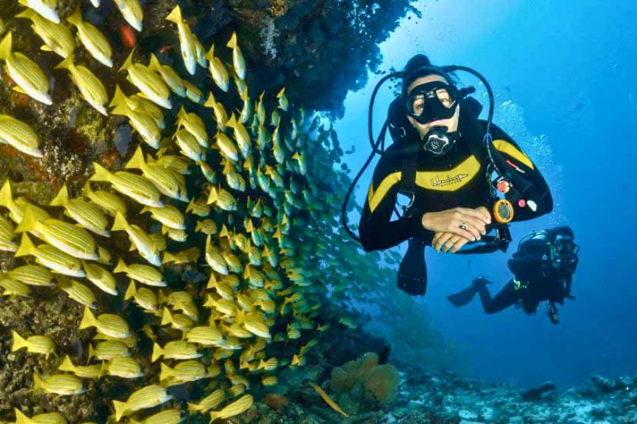 SCUBA DIVING PRO TARKRLI POINT