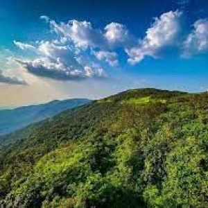 Dajipur Wildlife Sanctuary