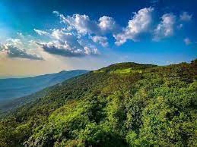 Dajipur Wildlife Sanctuary