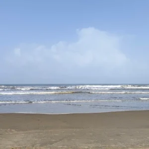 wayari beach clean
